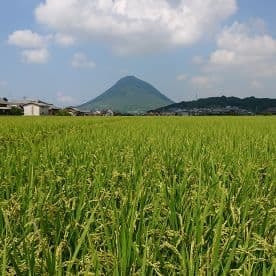 飯野山