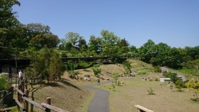 牧野植物園