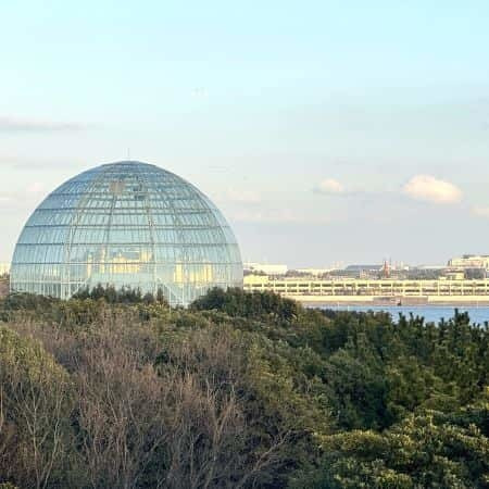 建築家谷口吉生による葛西臨海水族園