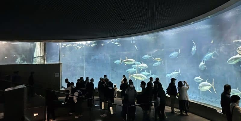 建築家谷口吉生による葛西臨海水族園