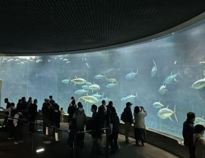 葛西臨海水族園
