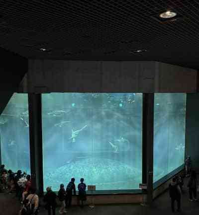 葛西臨海水族園