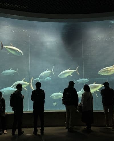 葛西臨海水族園